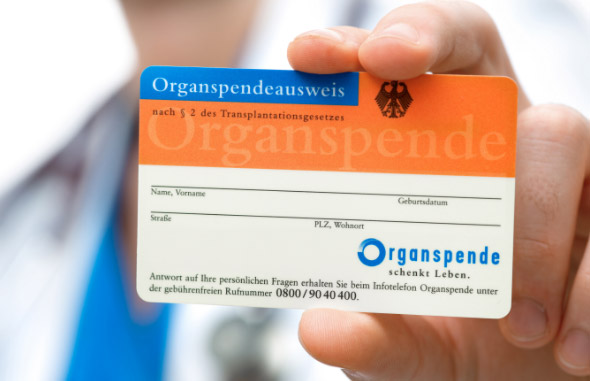 Organspende Organspende